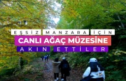 Eşsiz manzarayı görmek için canlı ağaç müzesine akın ettiler