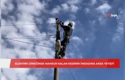 Elektrik direğinde mahsur kalan kedinin imdadına Çoruh EDAŞ görevlileri yetişti