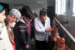Fen Lisesi öğrencileri Mezbahanede