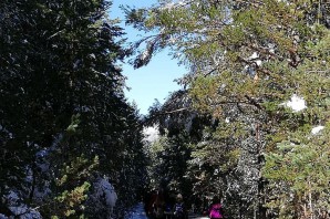 Gümüşhaneli dağcılar Zigana’da sonbahar ve kışı bir arada yaşadı