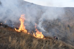 Gümüşhane'deki örtü yangınında 5 hektarlık alan zarar gördü