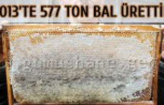 2013 Yılında 577 Ton Bal Ürettik