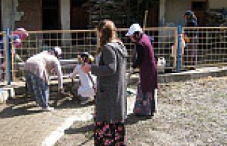 Torul’un mahallelerine "Kadın Eli" Değiyor