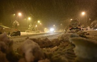 Zigana dağında kar yağışı etkili oluyor