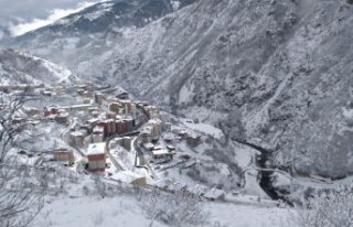 Kar yağışı Kürtün’de etkili oldu