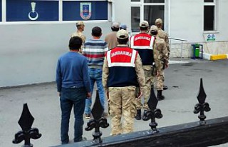 Şiran’daki hırsızlar Jandarma’dan kaçamadı