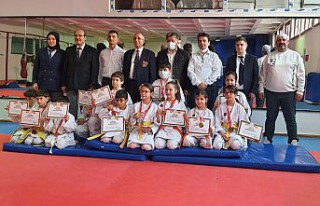 Karate yarışmaları düzenlendi