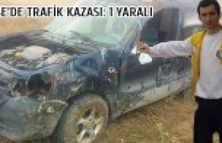 Köse'de Trafik Kazası: 1 Yaralı