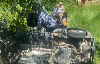 Gümüşhane’de yaşlı çift otomobille bahçeye yuvarlandı