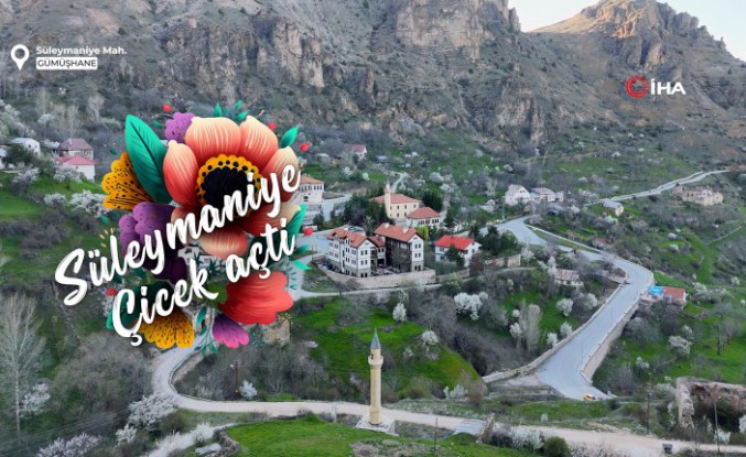 Tarihi mahallede bahar güzelliği | Süleymaniye çiçek açtı